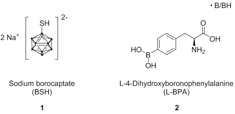 Basic Requirements Of BNCT - BSH And BPA - DGBNCT